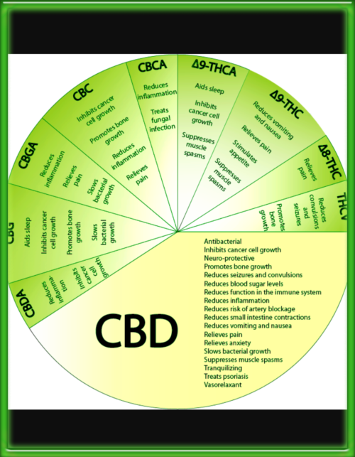CBD Chart Wheel